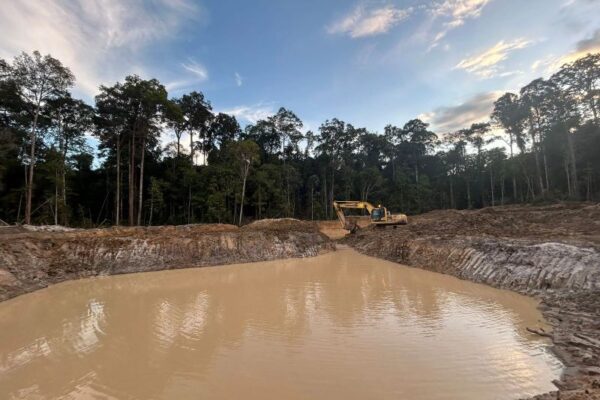 Pengendapan Lumpur di Dasar Danau: Proses, Faktor yang Mempengaruhi, Sifat Fisik dan Kimia, Dampak terhadap Ekosistem, serta Potensi Pemanfaatannya untuk Pertanian dan Reklamasi Lahan